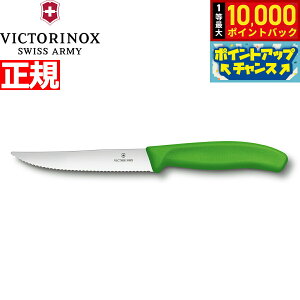 yIōő10000ptobNI11/1IzrNgmbNX VICTORINOX OiCt Xe[LiCt gn O[ 12cm XCXNVbN 6.7936.12L4-X1