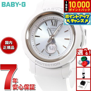 yIōő10000ptobNI11/5IzBABY-G JVI xr[G fB[X dg \[[ rv ^t\[[ BGA-2900-7AJF zCg