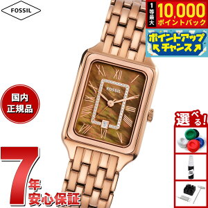 yIōő10000ptobNI11/10IztHbV FOSSIL rv fB[X RAQUEL OjfCg [YS[hg[ XeXX`[EHb` ES5323