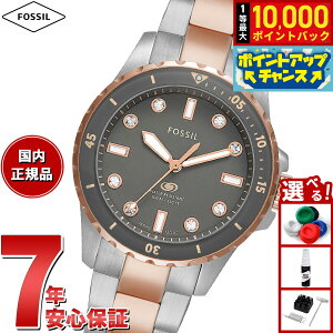 yIōő10000ptobNI11/10IztHbV FOSSIL rv fB[X FOSSIL BLUE DIVE Oj c[g[ XeXX`[EHb` ES5348