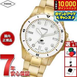 yIōő10000ptobNI11/10IztHbV FOSSIL rv fB[X _Co[YEHb` BLUE DIVE Oj S[hg[ XeXX`[EHb` ES5350