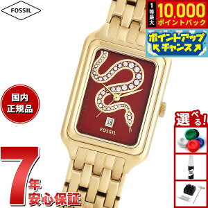 yIōő10000ptobNI11/5IztHbV FOSSIL rv fB[X RAQUEL OjfCg S[hg[ XeXX`[EHb` ES5379