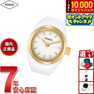 yIōő10000ptobNI11/10IztHbV FOSSIL OEHb` v w fB[X j S[hg[ XeXX`[ EHb`O ES5412y2025 Vz