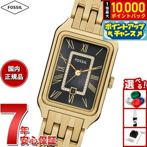 yIōő10000ptobNI11/5IzyIׂmxeB[tztHbV FOSSIL rv fB[X RAQUEL OjfCg S[hg[ XeXX`[EHb` ES5417y2025 Vz