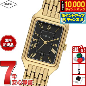 yIōő10000ptobNI11/5IzyIׂmxeB[tztHbV FOSSIL rv fB[X RAQUEL OjfCg S[hg[ XeXX`[EHb` ES5434y2025 Vz