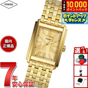 yIōő10000ptobNI11/5IztHbV FOSSIL rv Y CARRAWAY Oj S[hg[ XeXX`[EHb` FS6009