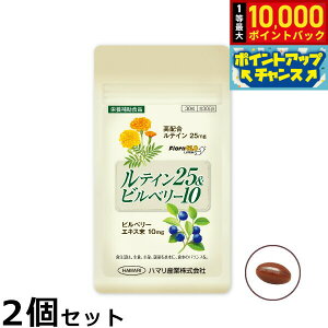 yIōő10000ptobNI11/1Izn}̌NHi eC25rx[10 30×2Zbgyz Y Tvg ACPA ڂ̌N