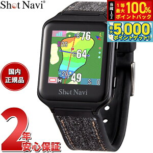 y15WCxgII100|CgobN|Cg+5{zVbgir Shot Navi AIR EX GA[EX rv^ GPS Stir  v ubN