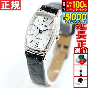 y15WCxgII100|CgobN|Cg+5{zV`Y GNV[h CITIZEN EXCEED GRhCu Eco-Drive rv fB[X v EX2000-09A
