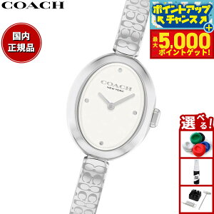 yX|Cgő44{I{IzR[` COACH rv fB[X T~[ SAMMY 22.5MM 14504483y2025 Vz