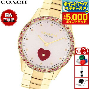 yX|Cgő44{I{IzR[` COACH rv fB[X ubNX BROOKS 38MM  14504487y2025 Vz