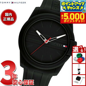 yX|Cgő46{I1118Izg~[qtBK[ TOMMY HILFIGER rv Y AUSTIN 1710596