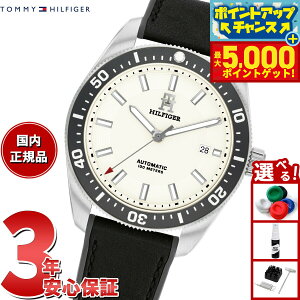 yX|Cgő46{I1118Izg~[qtBK[ TOMMY HILFIGER rv Y  TH85 1792153