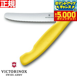 yX|Cgő46{I1118IzrNgmbNX VICTORINOX g}g xW^u tH[fBOiCt ܂ݎ p[OiCt gn CG[ 11cm XCXNVbN 6.7836.F8B