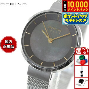 yIōő10000ptobNI11/25Izx[O BERING {胂f \[[ rv fB[X XJWirA\[[ Scandinavian Solar 14627-002