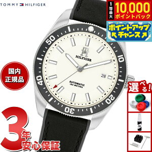 yIōő10000ptobNI11/18Izg~[qtBK[ TOMMY HILFIGER rv Y  TH85 1792153