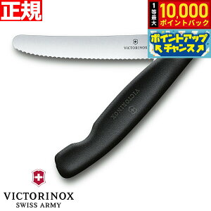 yIōő10000ptobNI11/25IzrNgmbNX VICTORINOX g}g xW^u tH[fBOiCt ܂ݎ p[OiCt gn ubN 11cm XCXNVbN 6.7833.FB