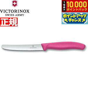yIōő10000ptobNI11/25IzrNgmbNX VICTORINOX g}g xW^uiCt e[uiCt p[OiCt gn sN 11cm XCXNVbN 6.7836.5-X1