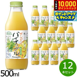 yIōő10000ptobNI11/25IzI S[fpCibv 500ml×12{Zbg W[X Xg[g ʏ`100% Y   sgp r { yz