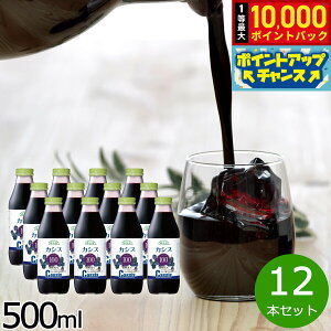 yIōő10000ptobNI11/25IzI JVX100 500ml×12{Zbg JVX JVXW[X W[X ʕ ʎ t[c Xg[g AgVAj ZkҌ Zx ʏ`100% Y 