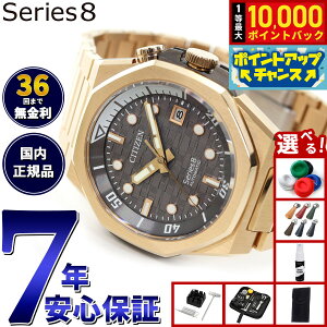 yIōő10000ptobNI11/18IzyIׂmxeB[tzy36񕪊萔IzV`Y V[YGCg CITIZEN Series 8 JjJ 890  @B rv Y NB6069-53H