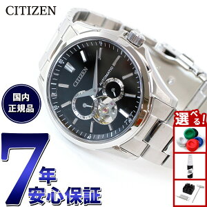 yX|Cgő55{I{IzV`YRNV CITIZEN COLLECTION JjJ  @B rv Y NP1010-78E I[vn[g