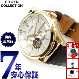 yX|Cgő43{I{IzV`YRNV CITIZEN COLLECTION JjJ  @B rv Y NP1013-02P I[vn[gy2025 Vz