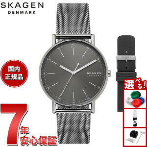 yX|Cgő55{I{IzXJ[Q SKAGEN rv Y SIGNATUR Oj `R[ XeXX`[bV EHb`XgbvZbg SKW3157SET