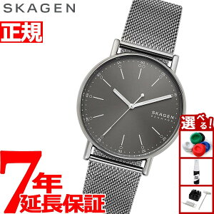 yIōő30000ptobNI12/5IzXJ[Q SKAGEN rv Y VOl`[ SIGNATUR SKW6577
