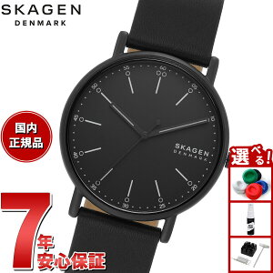 yIōő30000ptobNI12/5IzXJ[Q SKAGEN rv Y SIGNATUR Oj ubNU[EHb` SKW6902