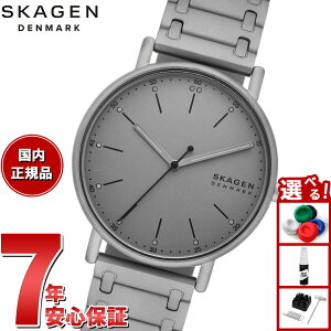 yX|Cgő55{I{IzXJ[Q SKAGEN rv Y SIGNATUR Oj `R[ XeXX`[ uXbgEHb` SKW6913