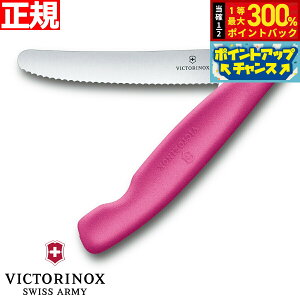 yIōő30000ptobNI12/5IzrNgmbNX VICTORINOX g}g xW^u tH[fBOiCt ܂ݎ p[OiCt gn sN 11cm XCXNVbN 6.7836.F5B
