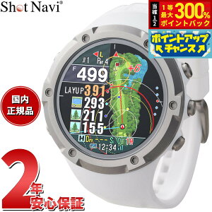 yIōő30000ptobNI12/5IzVbgir Shot Navi Evolve  G{u At@ rv^ GPS Stir  v zCg