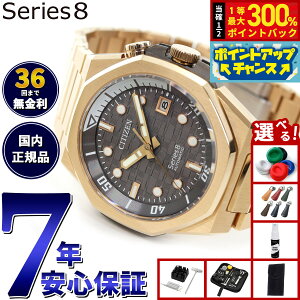 yIōő30000ptobNI12/5IzyIׂmxeB[tzy36񕪊萔IzV`Y V[YGCg CITIZEN Series 8 JjJ 890  @B rv Y NB6069-53H