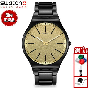 swatch XEHb` HOLIDAY COLLECTION DASHING SLATE SS07B109G rv Y fB[X