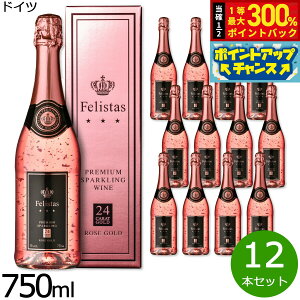 yIōő30000ptobNI1101F59܂ŁIztFX^X [ S[h Xp[NOC MtgBOX  hCcY h [C hCcC A hCc NV m 