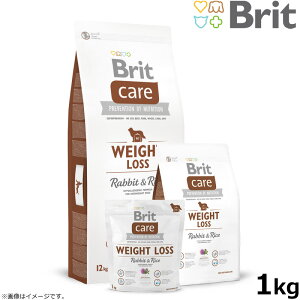 ubgPA Brit Care hbOt[h EGCgX 1kg p ̏dǗ Y
