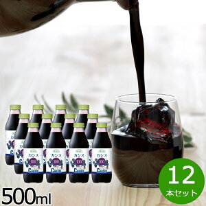 yX|Cgő46{I121IzI JVX100 500ml×12{Zbg JVX JVXW[X W[X ʕ ʎ t[c Xg[g AgVAj ZkҌ Zx ʏ`100% Y 