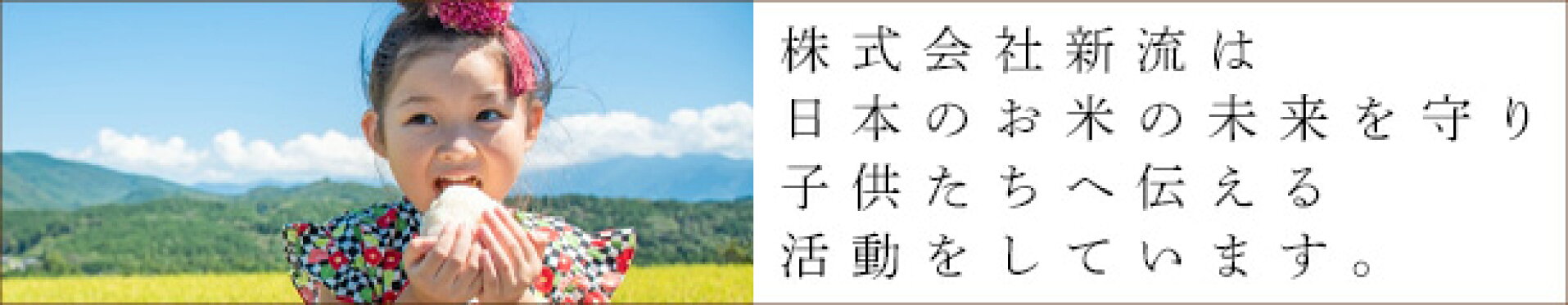 ニールファーム活動報告