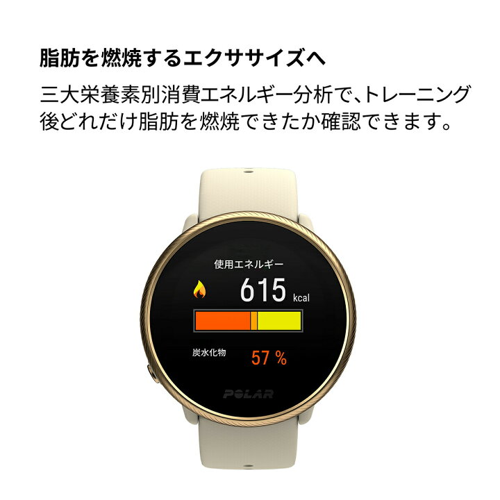 楽天市場】【店内ポイント最大64倍！本日限定！】ポラール Polar 