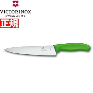 yX|Cgő44{I1130IzrNgmbNX VICTORINOX VFtiCt J[rOiCt   O[ 19cm XCXNVbN 6.8006.19L4-X1