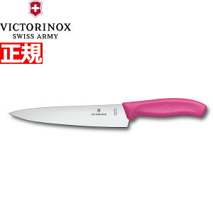 yX|Cgő44{I1130IzrNgmbNX VICTORINOX VFtiCt J[rOiCt   sN 19cm XCXNVbN 6.8006.19L5-X1