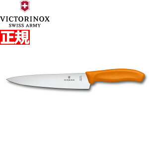 yX|Cgő46{I121IzrNgmbNX VICTORINOX VFtiCt J[rOiCt   IW 19cm XCXNVbN 6.8006.19L9-X1