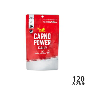 yX|Cgő44{I1130Izn}̌NHi Jmp[ DAILY 120 JmV X|[cTvg C~_][Wyv`h A~m_ AX[g }\ gCAX N