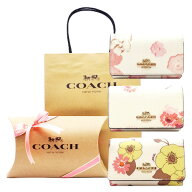 【コーチ箱 紙袋付き ギフト包装無料】コーチ キーケース フローラルプリント 花柄 5連 キーケース レデ…