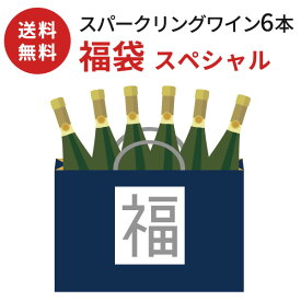 【送料無料】ワイン 飲み比べセット スパークリングワイン 福袋 6本セット〔スペシャル〕 泡 ワイン詰め合わせ お楽しみ袋 おまかせセット おまかせ 詰め合わせセット のみくらべ コスパ ワインセット 美味しい ワイン ミステリーボックス