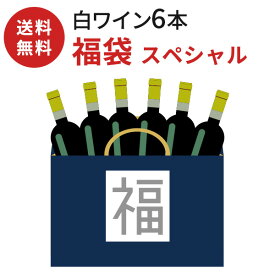 【送料無料】ワイン 飲み比べセット 白ワイン福袋 6本セット〔スペシャル〕 宝箱 白ワインセット ヨーロッパワイン ワイン詰め合わせ おまかせ福袋 おまかせセット のみくらべ おまかせ ワインセット 美味しい ワイン ミステリーボックス