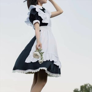 fB[X s[X ZbgAbv Ci[ RX`[ Ch tA Gv ~j Ȃ m[X[u tA v[c [X VtH 킢 l g K[[ G