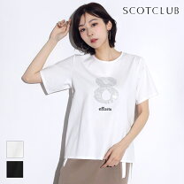 楽天市場】スコットクラブ（Tシャツ・カットソー｜トップス 