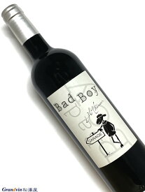 2006年 バッド ボーイ 750ml フランス ボルドー 赤ワイン